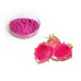 100% Pure Natural  Dragon Fruit Juice Powder free shipping