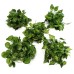 5 Types 2.1M 1PC Artificial Silk Fake Garden Hanging Plant Vine Wedding Decor