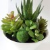 Mini White Pots Simulation Plant Aloe Vera Immortal Finger Potted Plants
