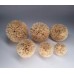 2.5" Natual color Raffia pom poms for Decorations,  Handmade from Natural Raffia Fibers, 2.5inch Rainbow Pom Pom wholesale
