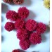 wine red color raffia pompoms for for decor , Hot sale high quality customized raffia pom pom Handmade from Natural Raffia Fibers