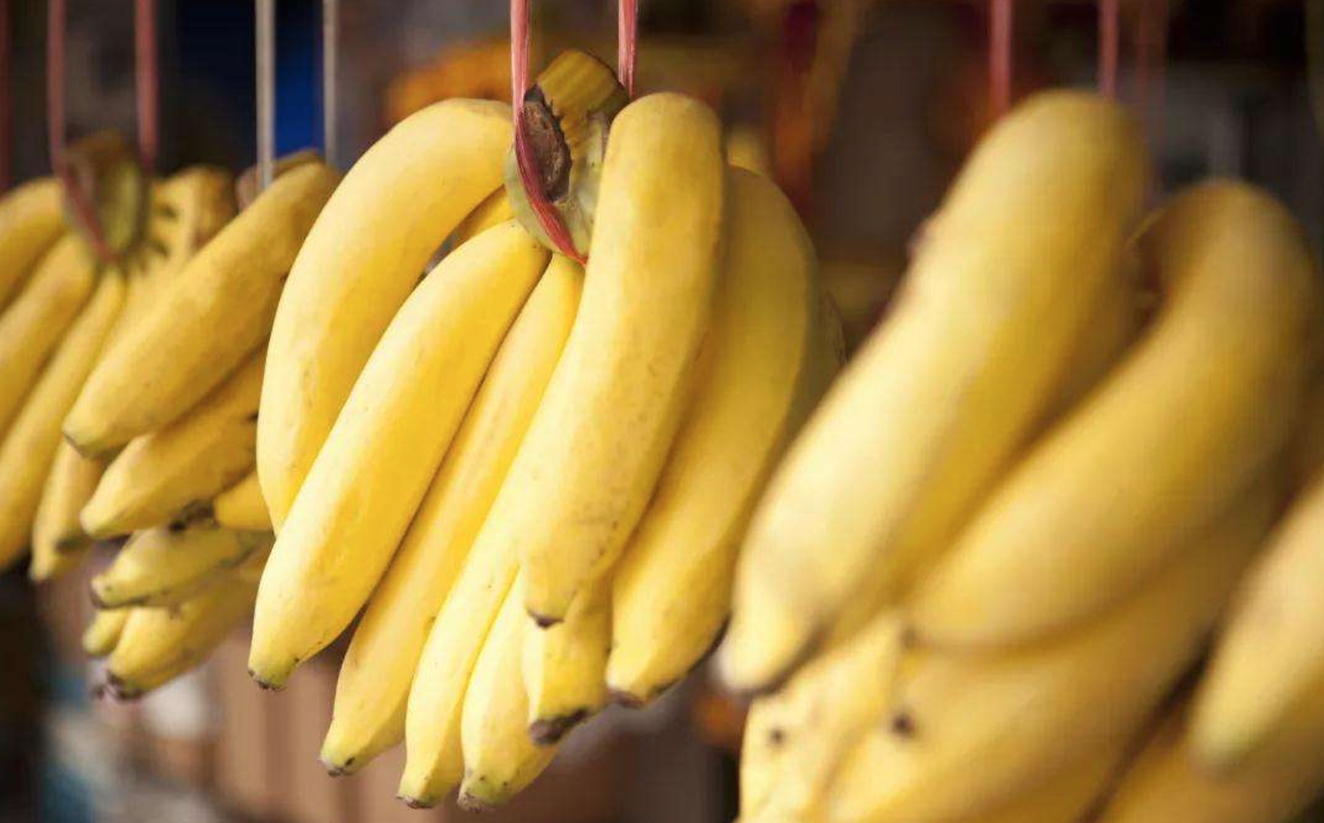 Factory-Supply-100-Pure-Natural-Banana-organic-juice-powder--free-shipping-32986443264